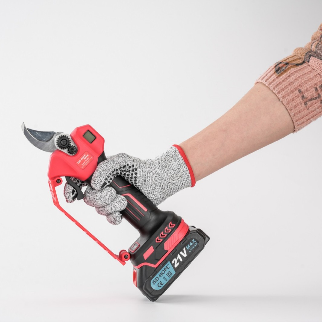 2025-04-21 13:15:37.jpg