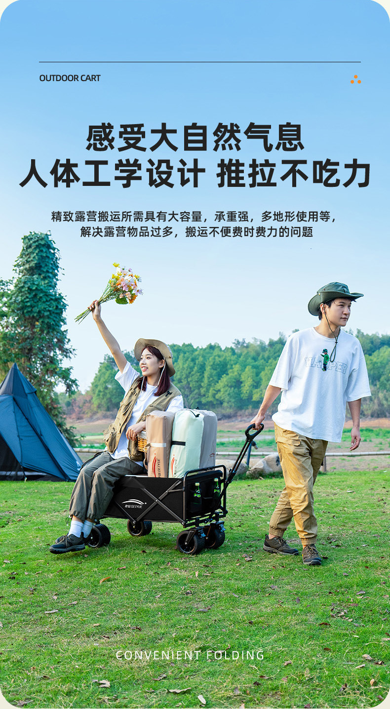 b22f8675-450e-4289-8a21-788fbcc7953d.jpe