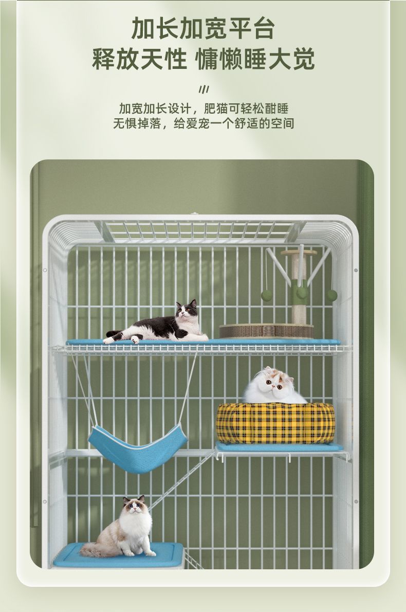 e76e472b-ea7c-420a-a4f6-004c12a82c97.jpe