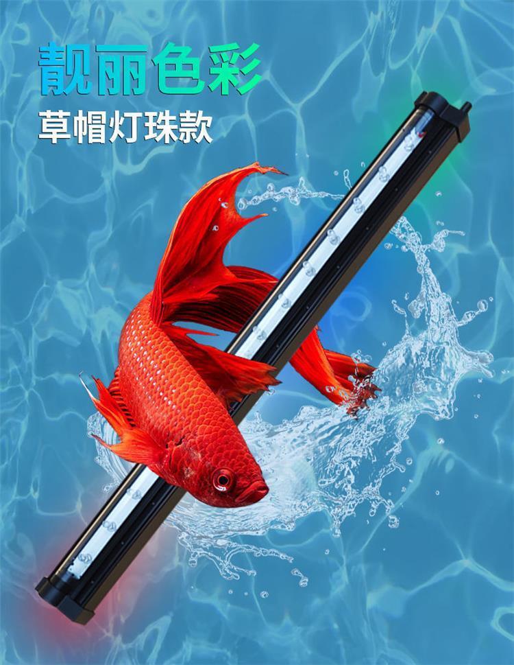 3c6cd85f-bd5e-49d4-956b-b175b81fc72f.jpe