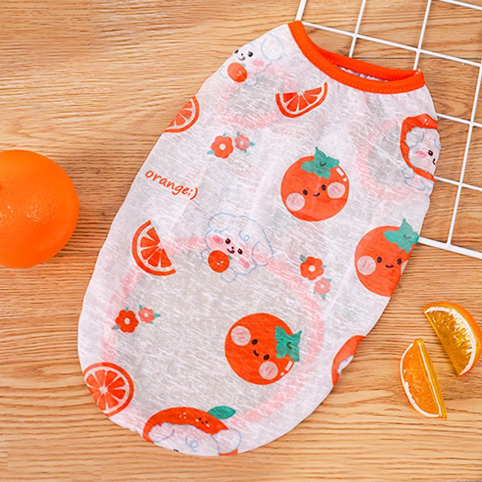 3b0167c9-10ad-429c-848f-8d22a6cc631e.jpe