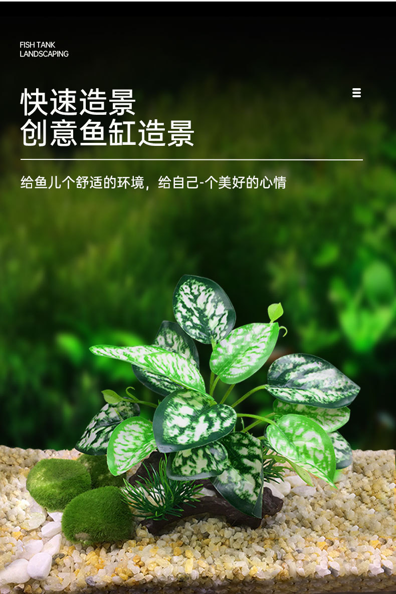 详情_03.jpg