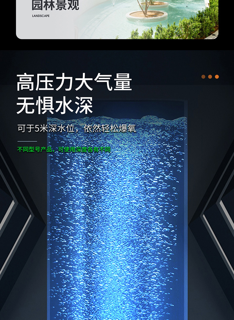 1d43bc33-1bf8-4804-ac0d-fcf5dc3c7efd.jpe