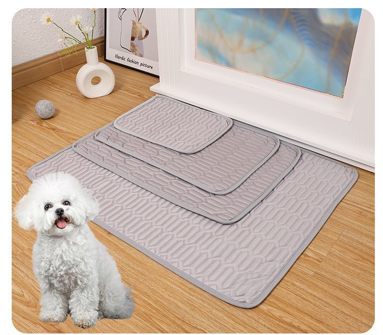 f9c5db86-0c69-4bbf-aa61-6ff80441ac48.jpe