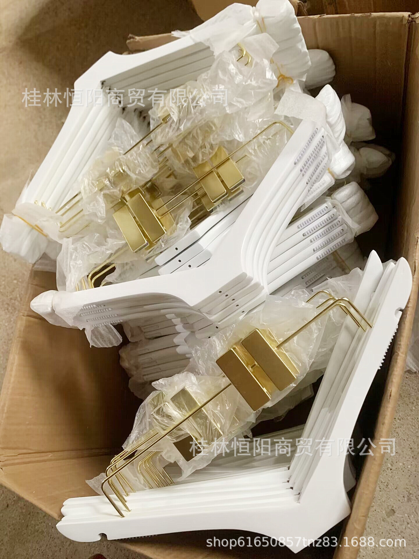 QQ图片20230611125453