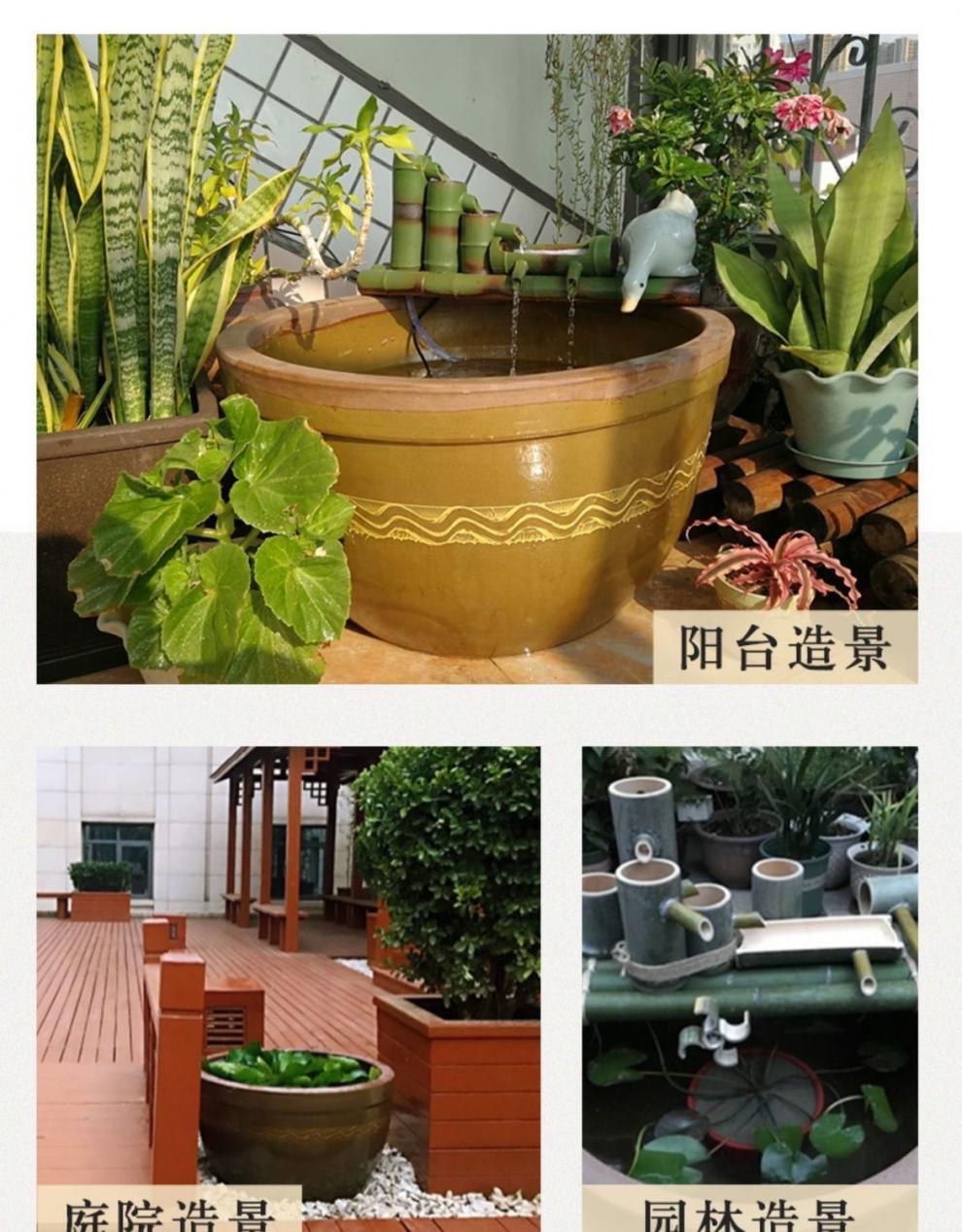 da324693-d7cc-48e7-b0d9-77a119bd4ec3.jpe