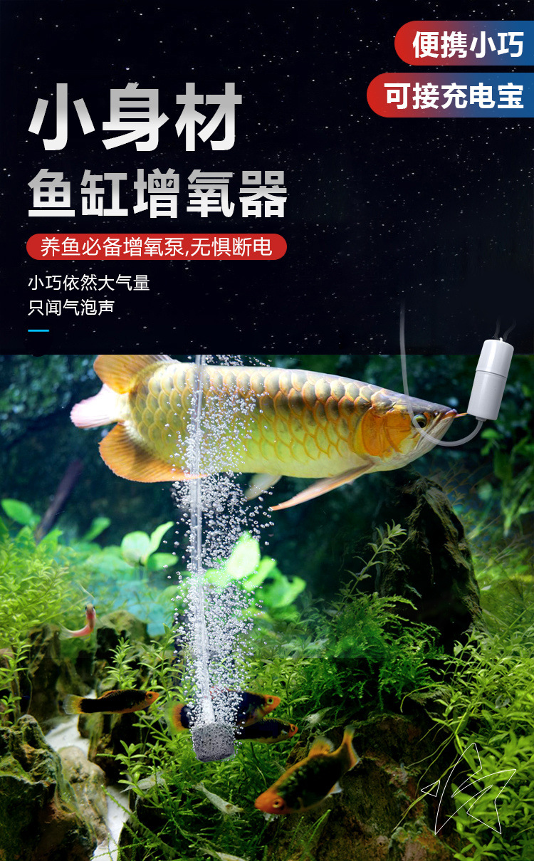 8d6592fa-6a94-47f6-938d-ce65fe4ebd00.jpe