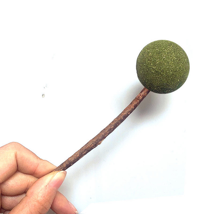 微信图片_20210413215747