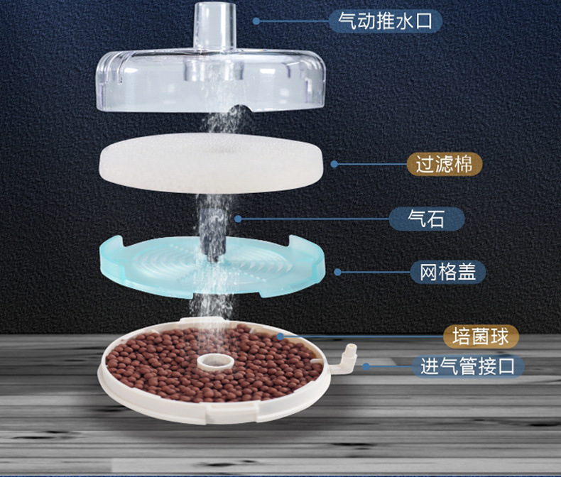 cea43868-d50c-4312-9e25-7605a988ff7d.jpe