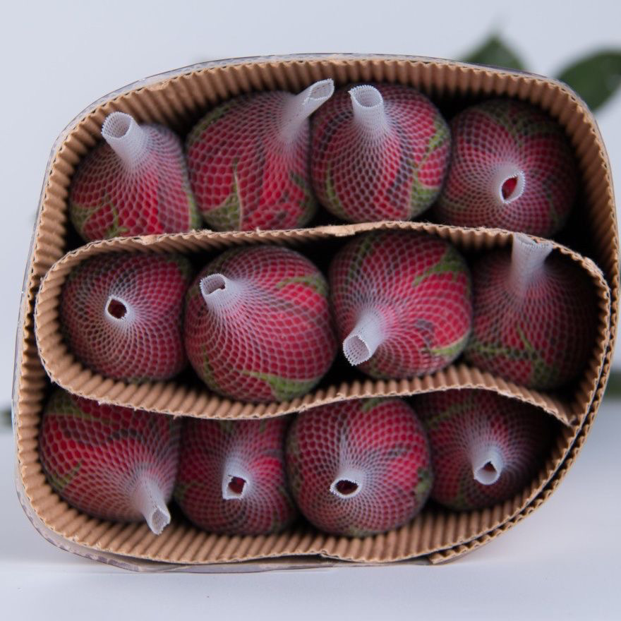 8dc13d5f-5f38-4d70-b322-d7051c87af50.jpe