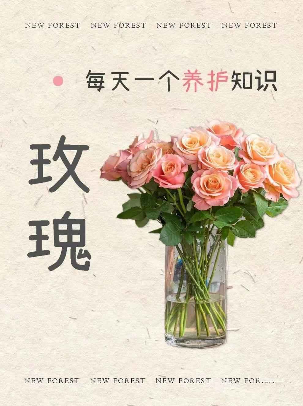 995e2d4e-4cbc-47ba-a93d-f8e8d4f3b341.jpe