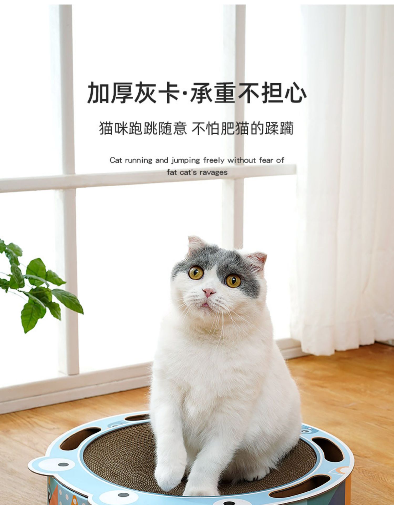 详情图片_09.jpg