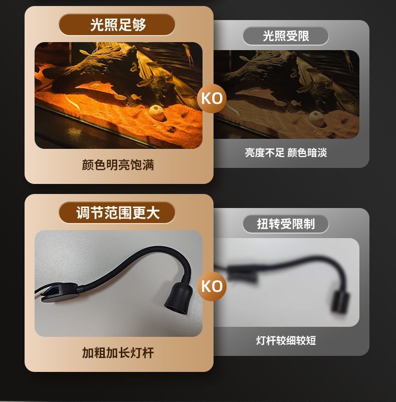 555a77cc-5e72-48bf-be0f-679b637363a8.jpe