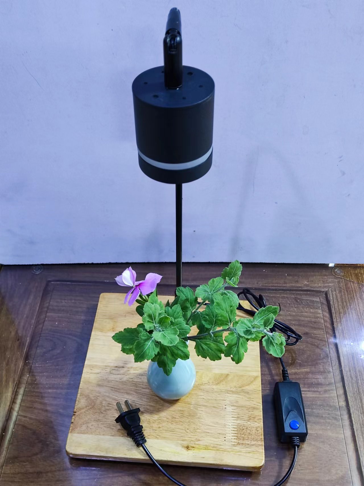 微信图片_20220614222911