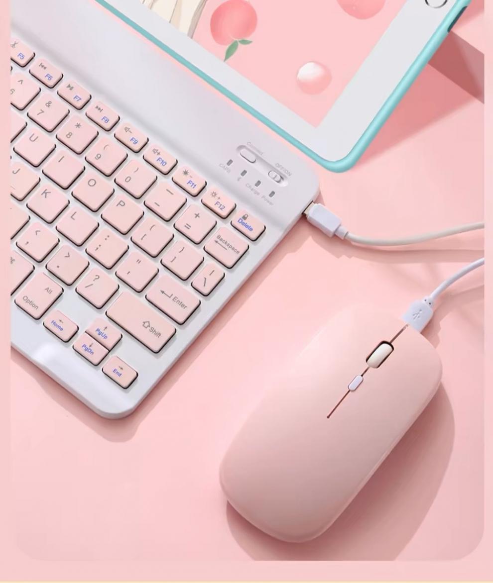 9516723f-9e80-499b-b994-308534c92746.jpe