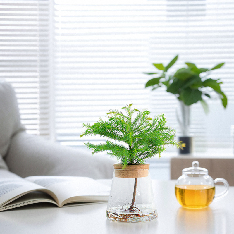 8d2e8abb-e808-428e-b3d7-831b19d99f27.jpe