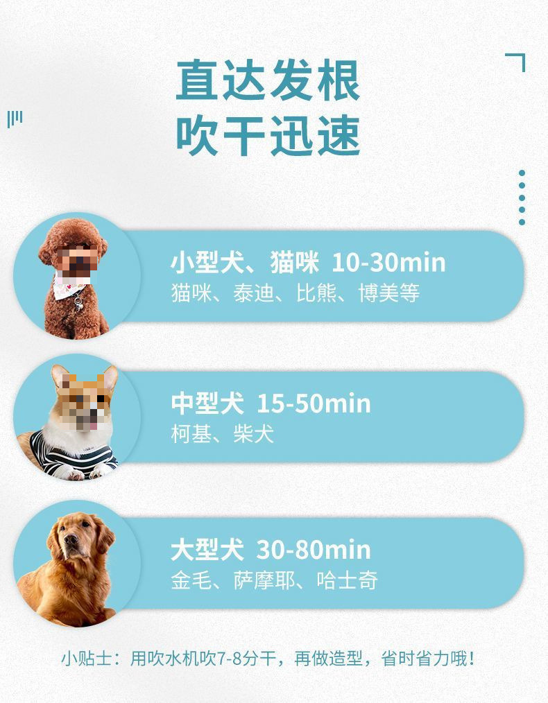 b44755fa-d989-45e3-a16c-e7c369f1cf4c.jpe