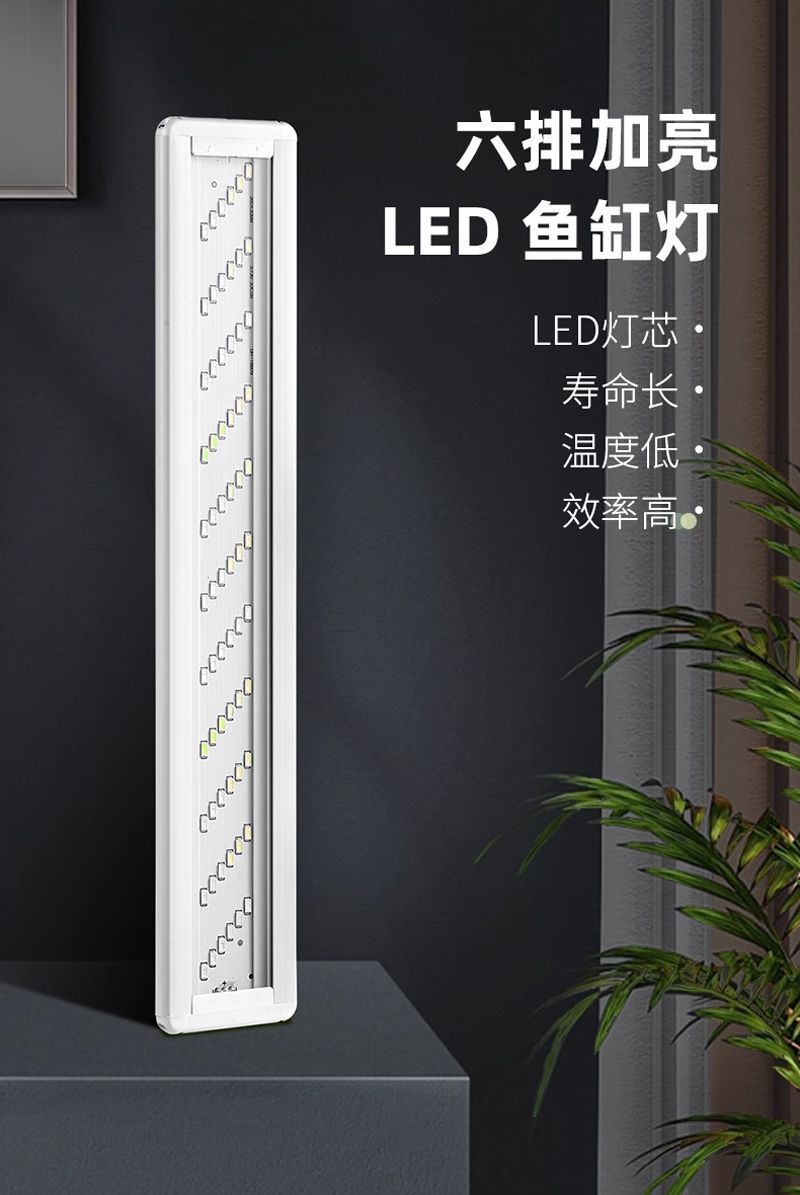 ea49e037-dab9-42f4-a7dd-14045b0dff1a.jpe