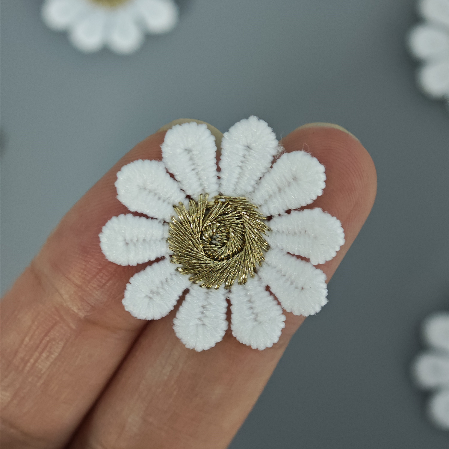 水溶花个