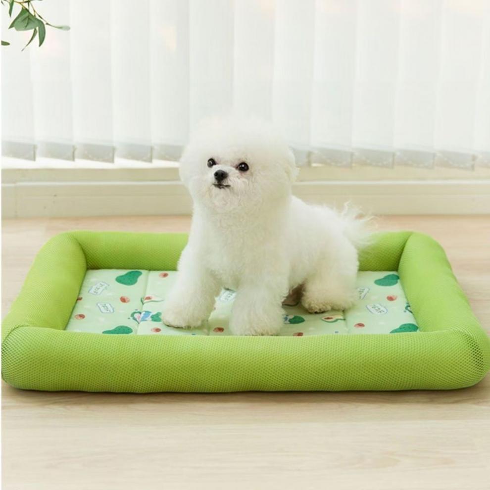 a2f5101f-aa41-474b-bdd6-07cffdda2746.jpe