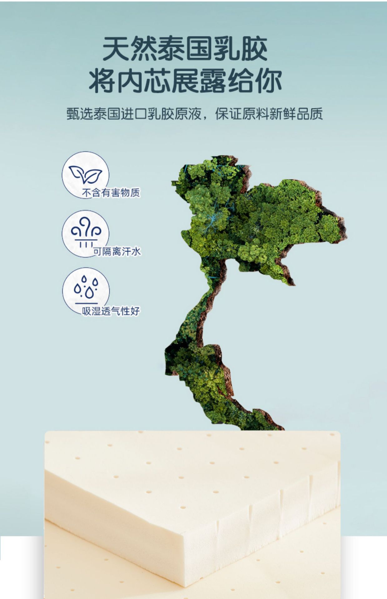 详情图06.jpg