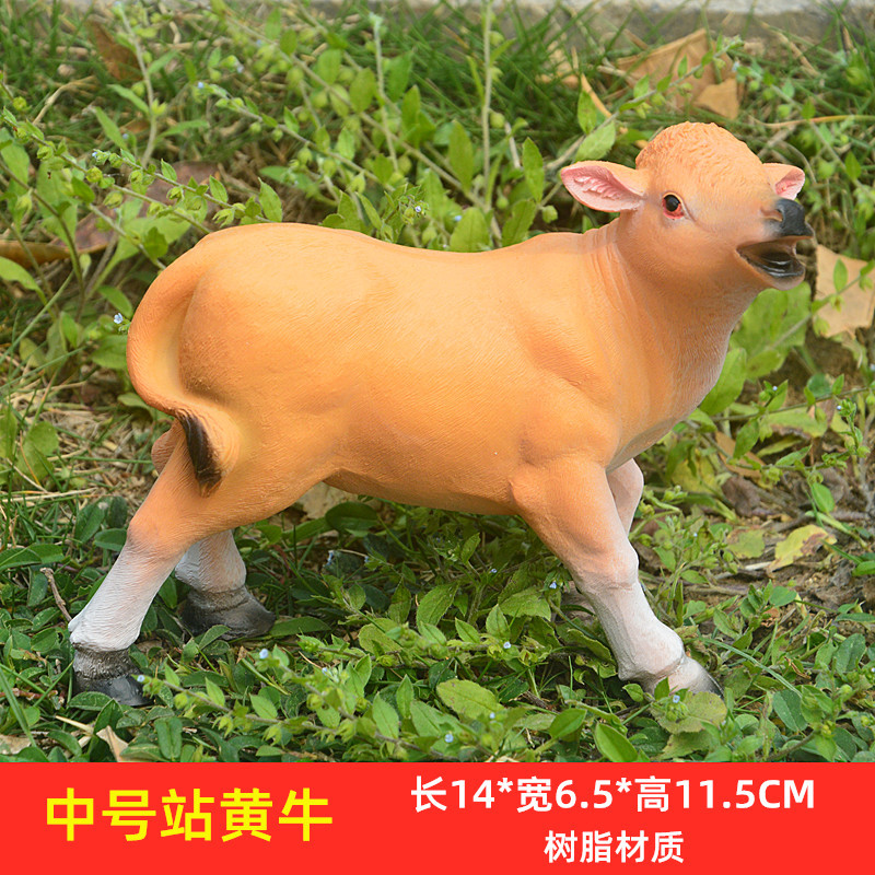 中号站黄牛.jpg