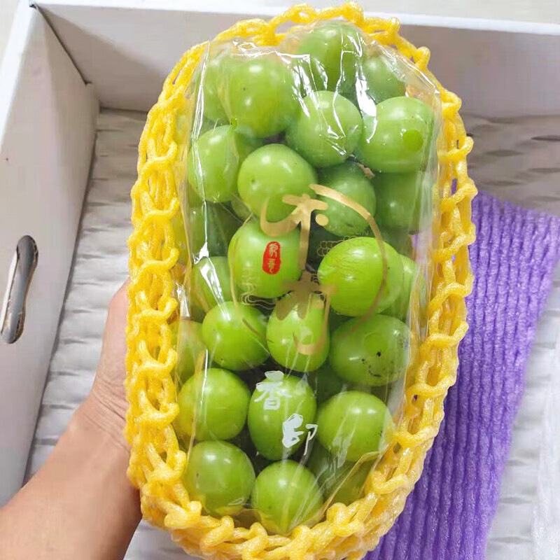 葡萄.jpg