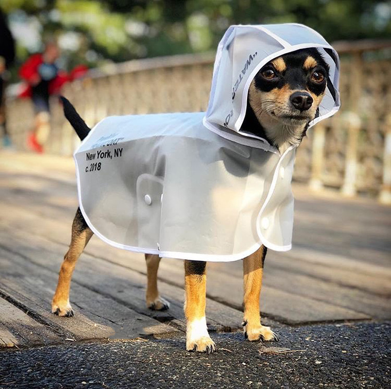 39908488_302256810325261_56368