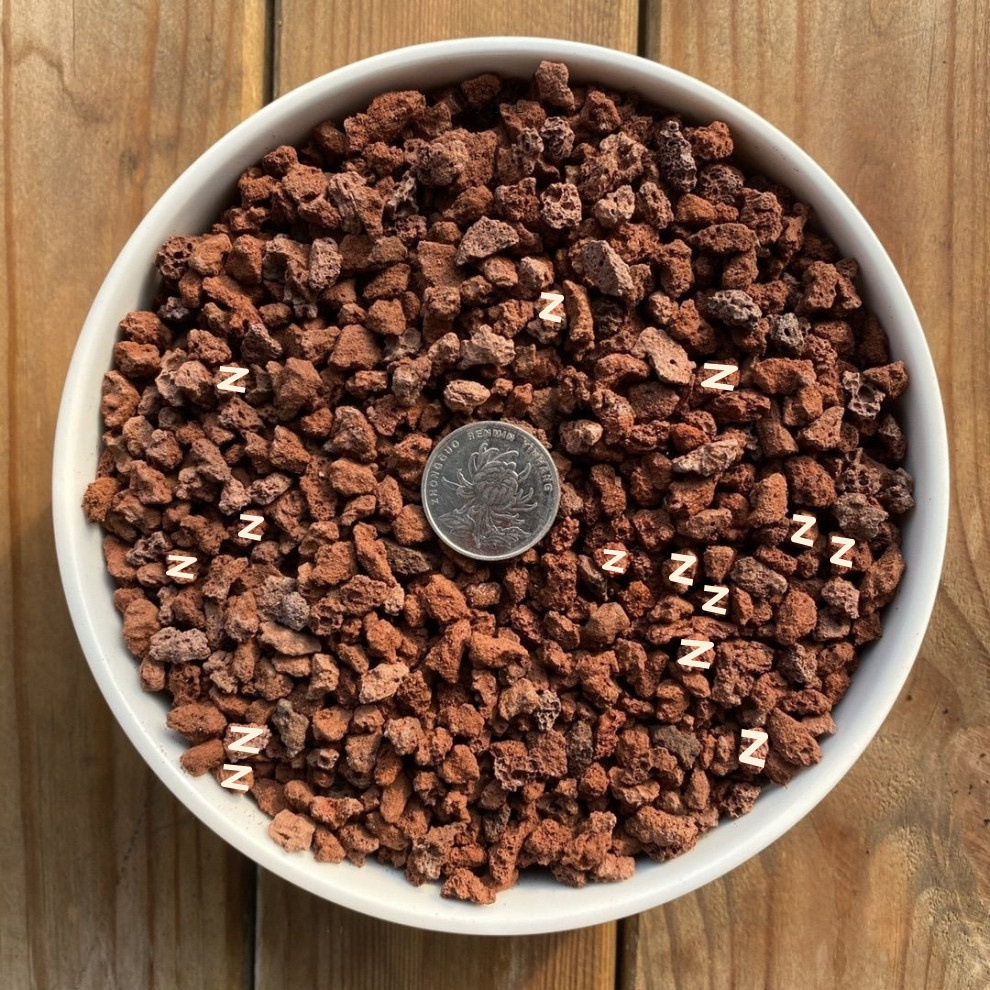 edfd5b0b-7b37-479f-a57d-437ed6b64be9.jpe