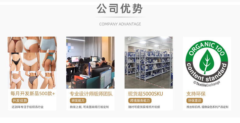 公司优势