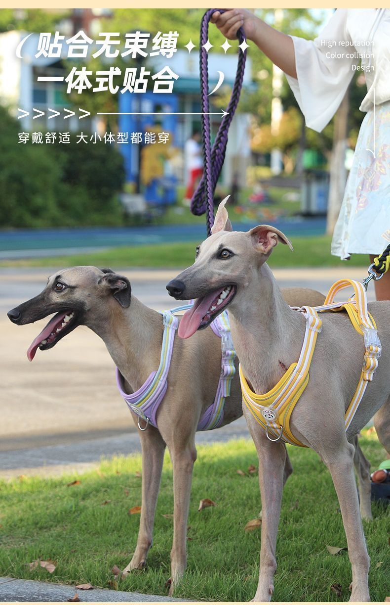 e942b8dc-6b72-49f4-a30e-db9680c32b59.jpe