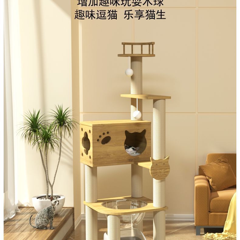 2dd57262-e48f-4f4e-8127-a885e2aa5040.jpe