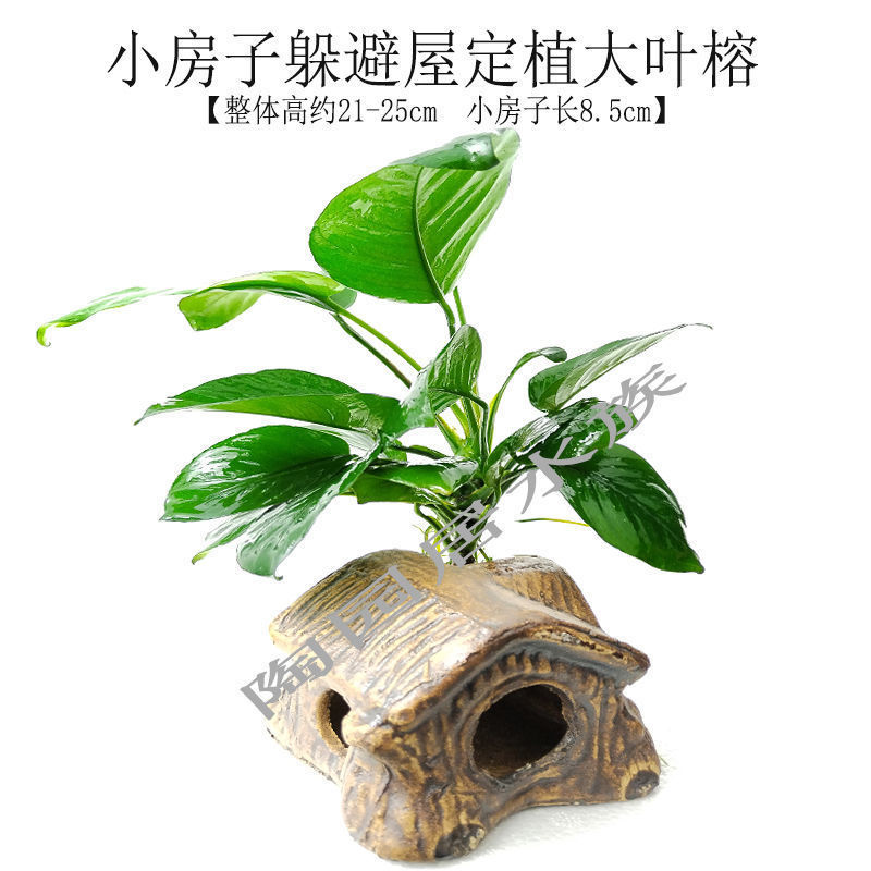 7be5e01f-79bc-45a4-ac4b-e2abd3708dda.jpe