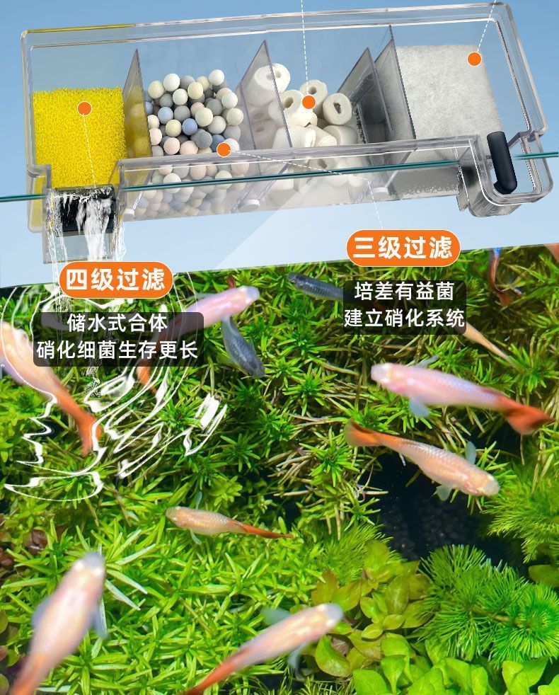 1236ae4f-9d98-4420-a5c6-4a4d13ba5f27.jpe