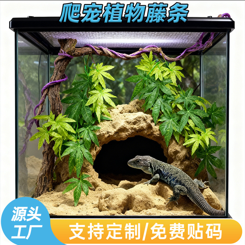 主图模板-恢复的