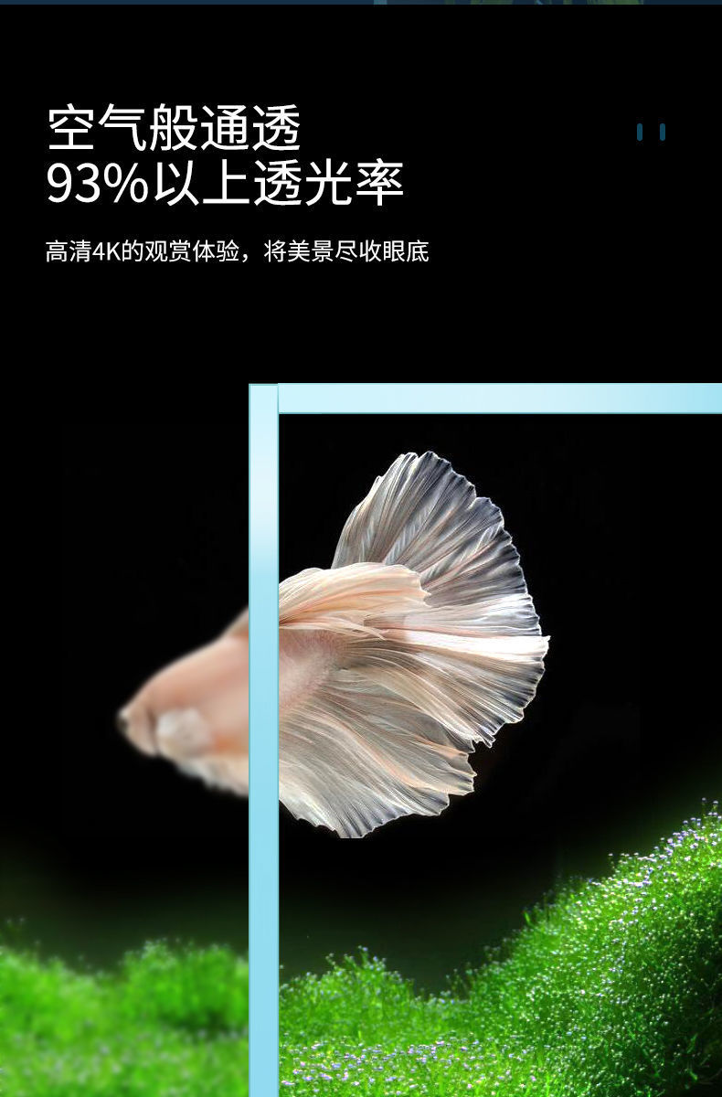 4665876c-325d-48e0-ad19-1fd82ba31aee.jpe