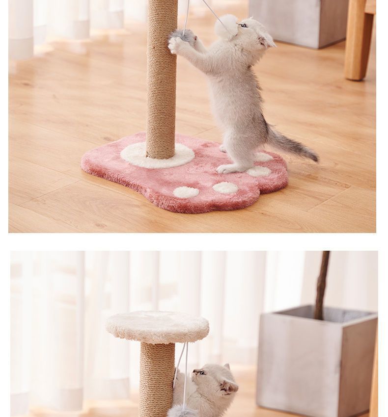 f5c41a31-696d-47a5-a276-07648bf67f74.jpe