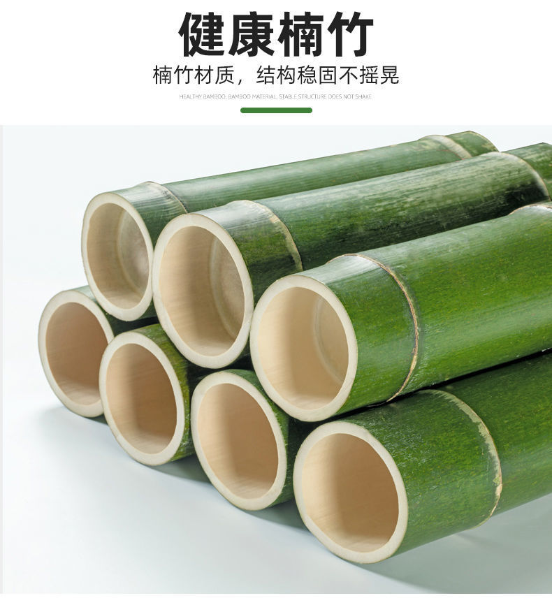 23f6d91d-dee3-48a1-ae1f-6ac390eab34a.jpe