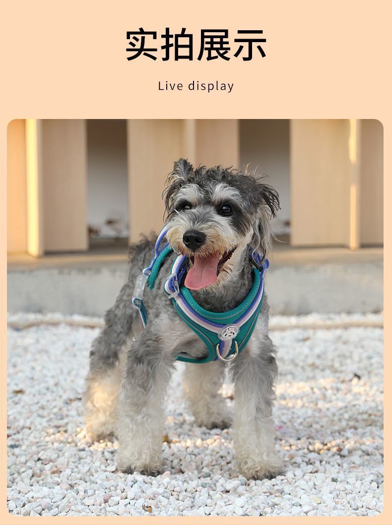 8acf48ed-fb70-4a33-ab12-5bd58c639435.jpe