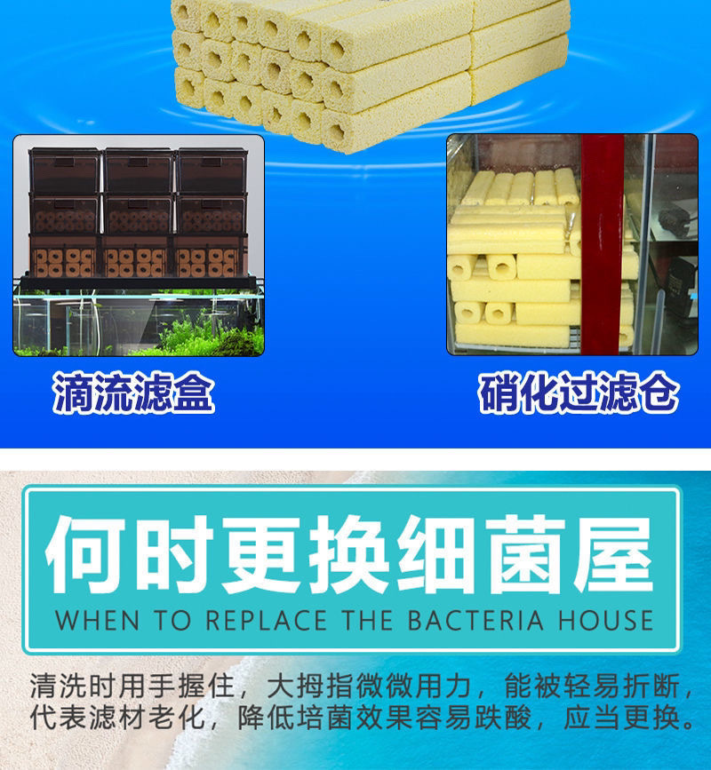 61aeeece-67d4-4492-aa65-93073e0bcc7a.jpe