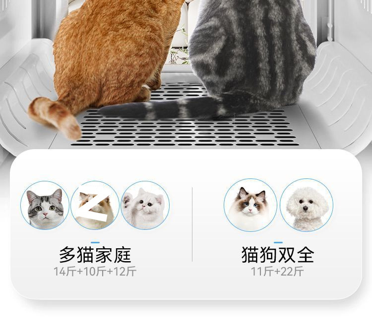 85de2eea-b3c7-4e1a-a299-ea13af14c5b2.jpe