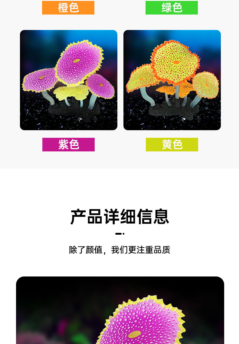地毯珊瑚_06.jpg