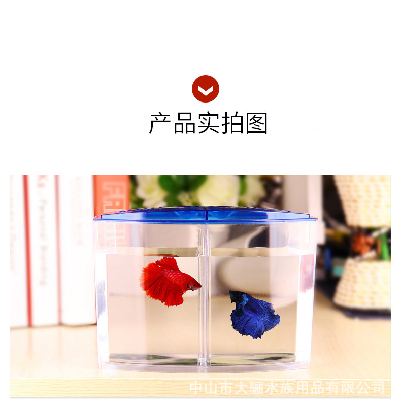 O1CN016s59dI26SKVtGIike_!!2208