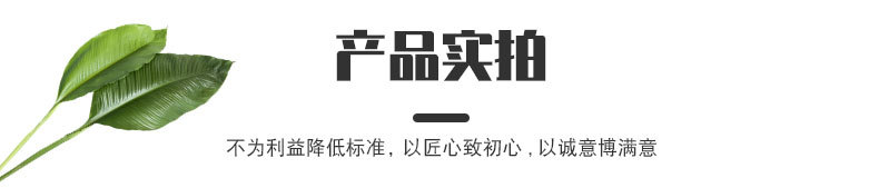 插图模板1_08