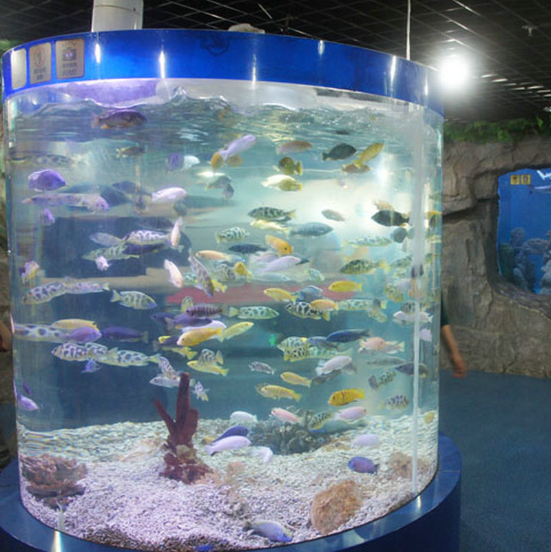 4-72117QQ_103250212_45bhenP0kv