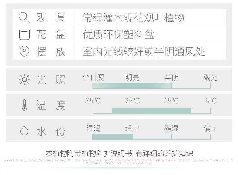 625d81f3-c86d-44ab-9701-0498d93abde4.jpe
