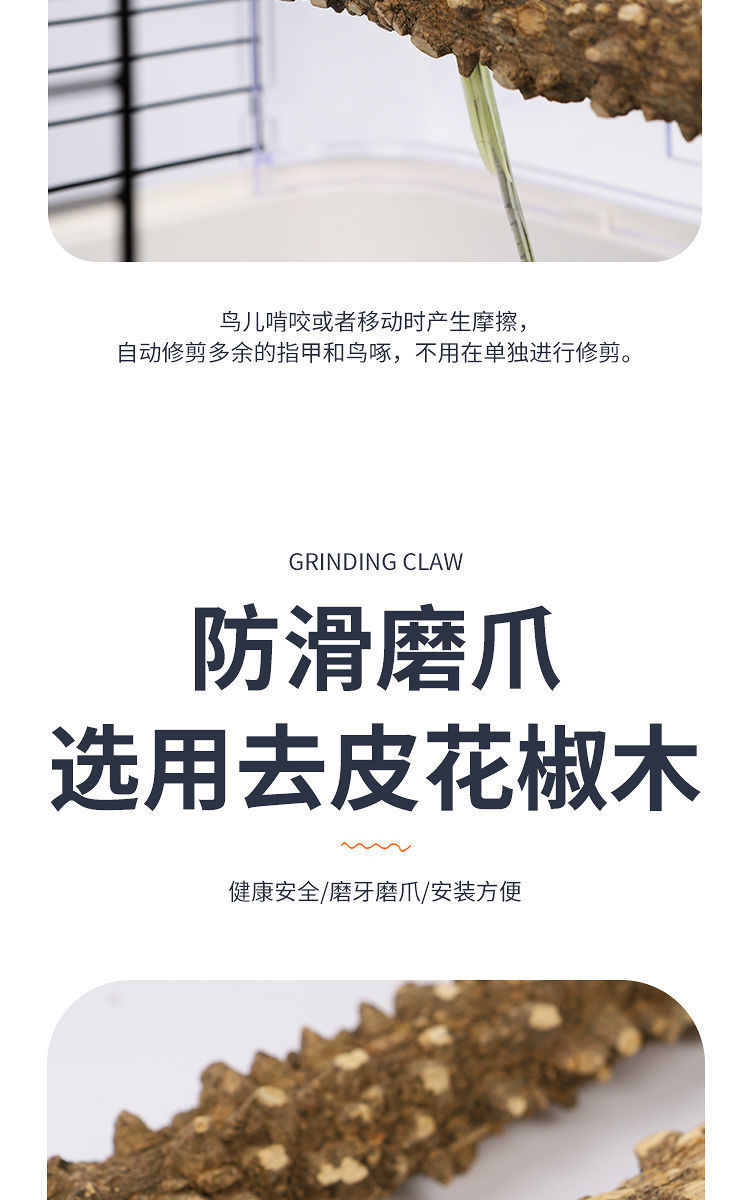 156da66a-14a6-4bbc-b515-a90050757f21.jpe