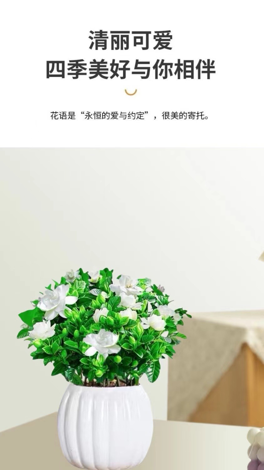 120c754e-5d9d-45b9-9209-1f19da94edbf.jpe
