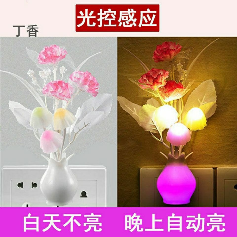 QQ图片20210808012602