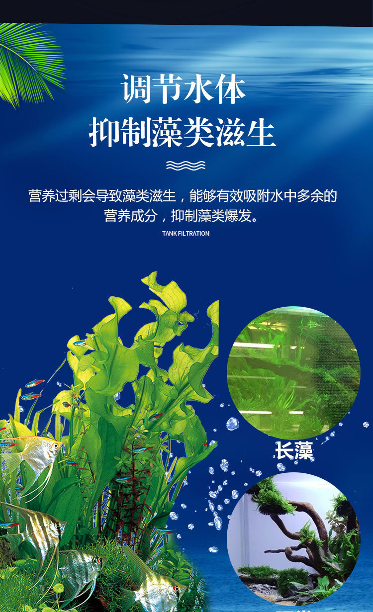 a951c08b-a50b-4fab-95c5-dabba795c1dd.jpe